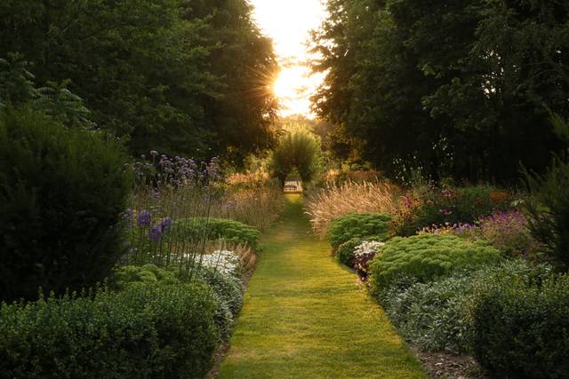 Wildflower Meadow