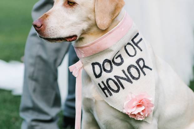 Dog of Honour