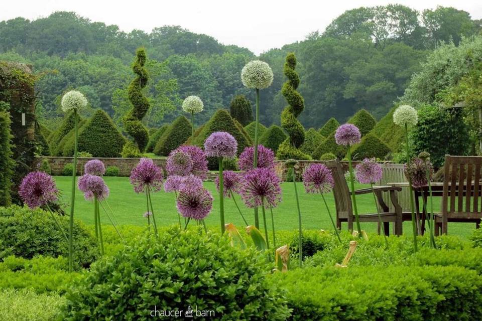 Topiary Garden