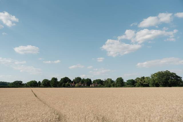 Priory Field