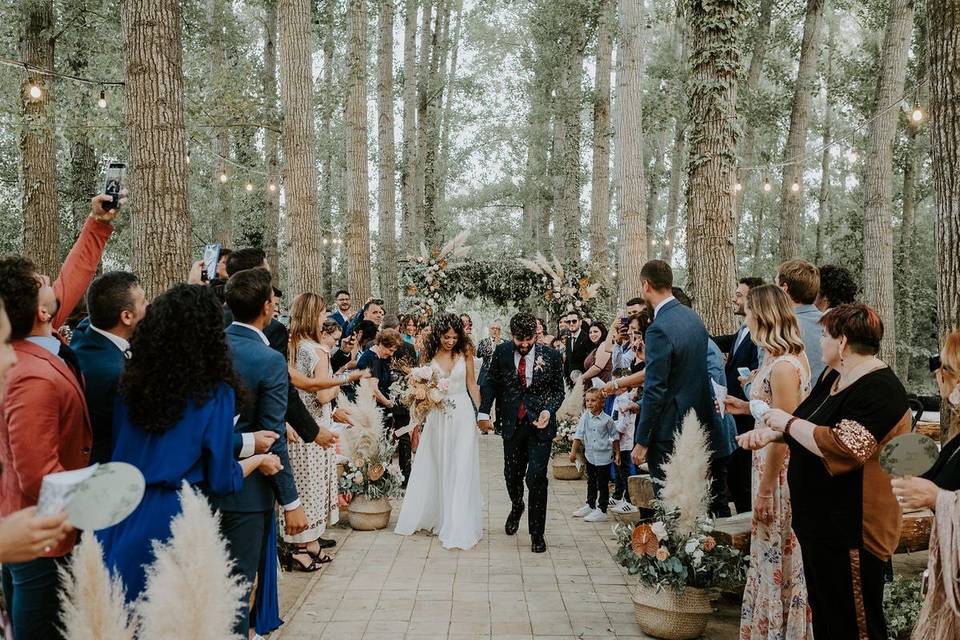 Civil ceremony in the forest