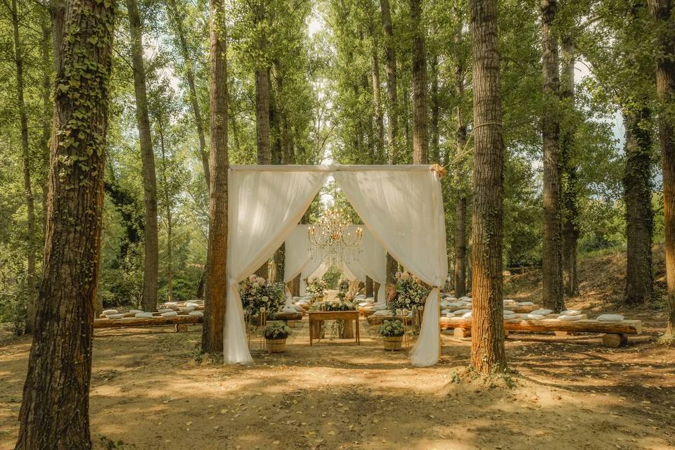 Civil ceremony in the forest