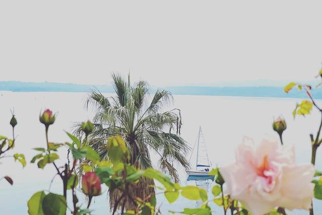 Lake Garda Weddings by Dulcie Butterfly