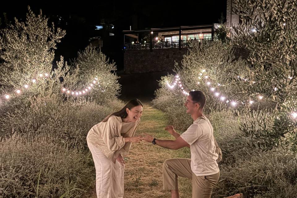 Malcesine proposal