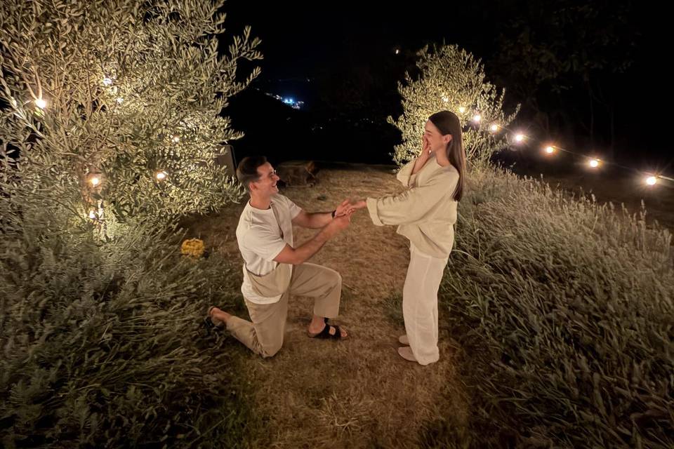 Malcesine proposal