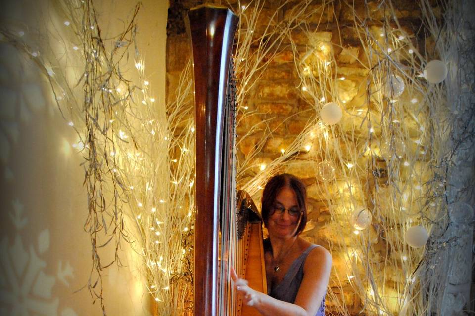Amazing harp playing