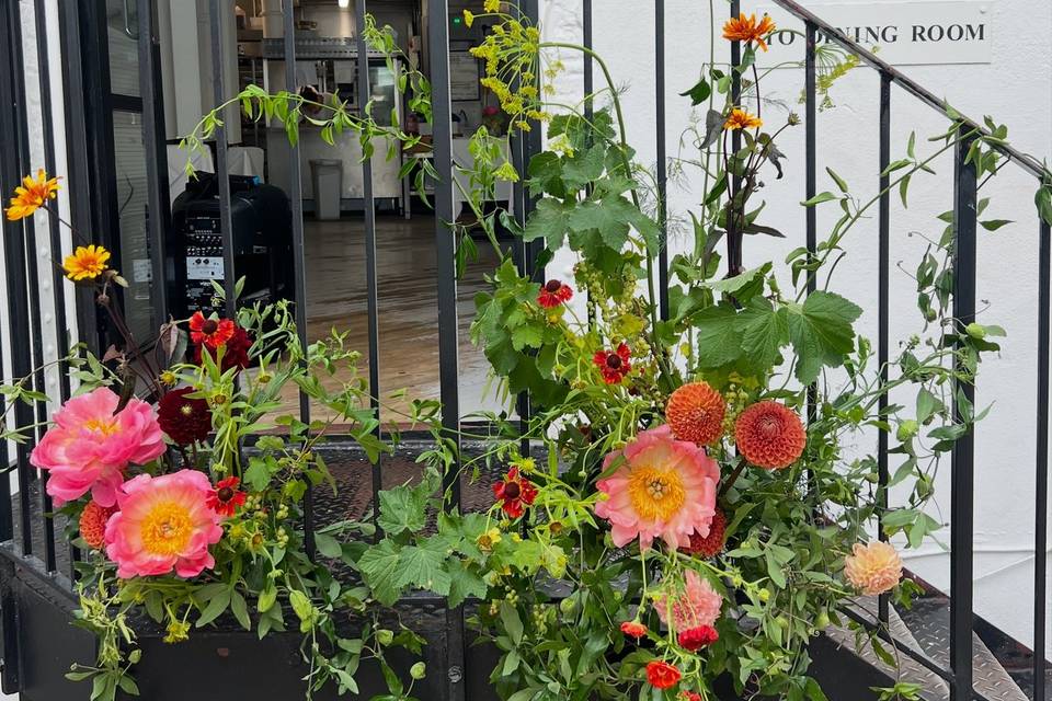 Staircase Flowers