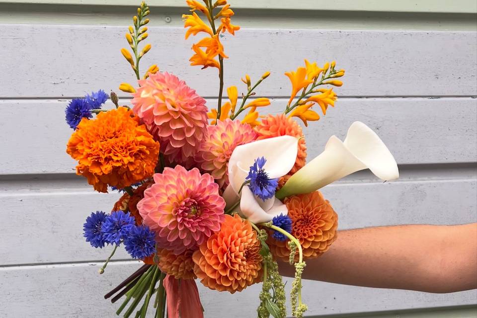 Orange & Blue Bridal