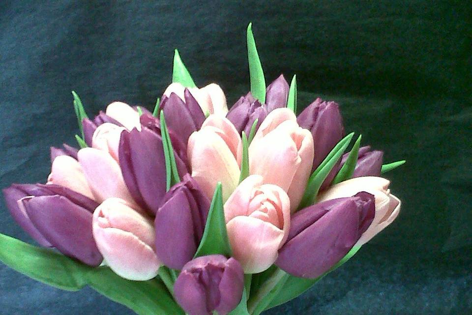 Tulips