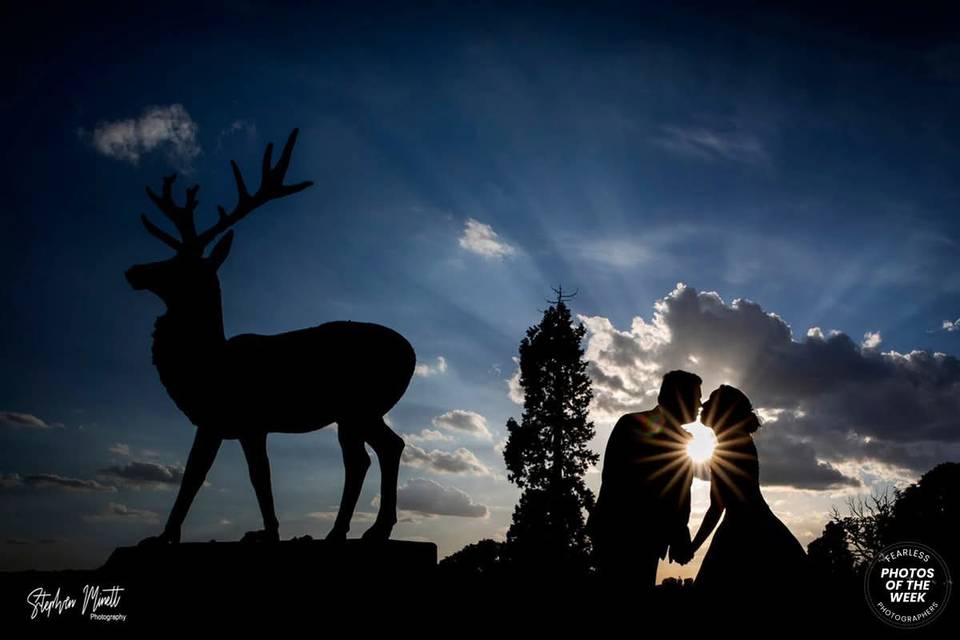 Twilight coverage