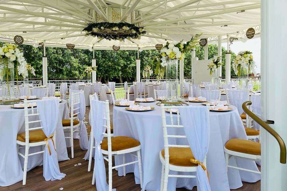 Chiavari chairs