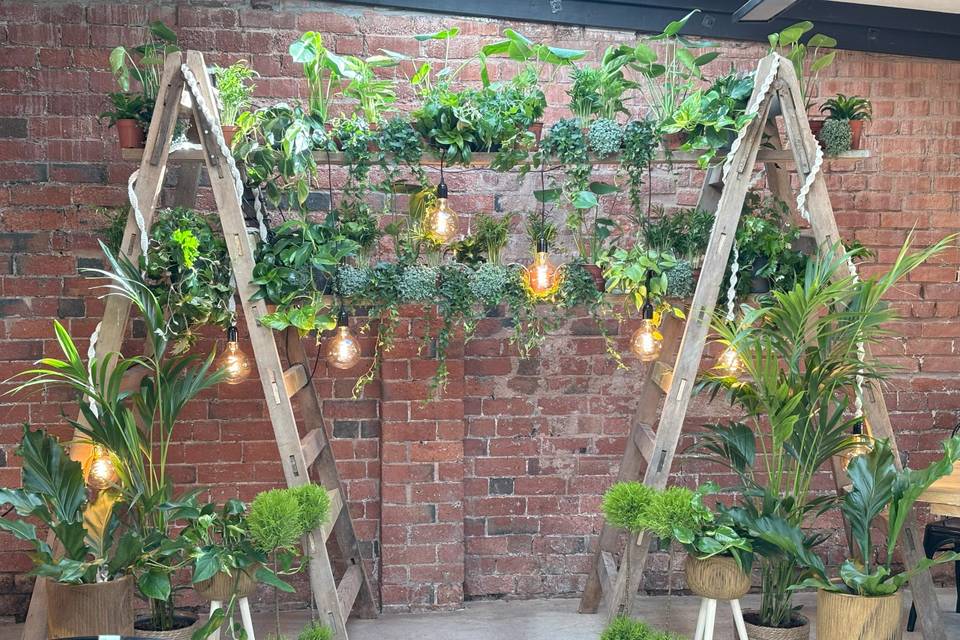 Ladders and plant wedding rentals