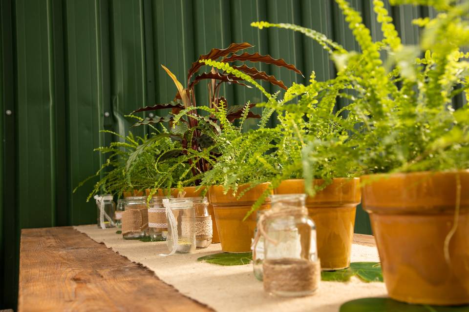 Fern Decorations