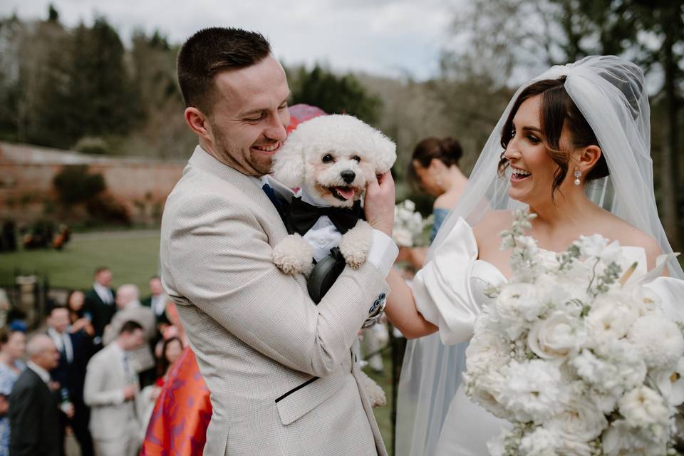 Dogs at weddings are my fave