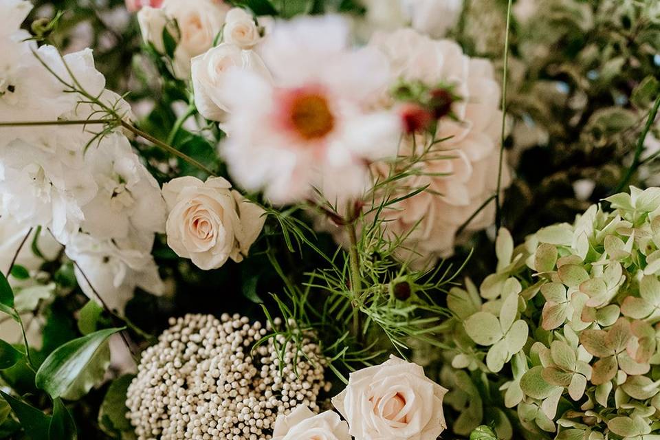 Spray rose flowers