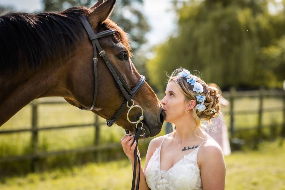 Horse