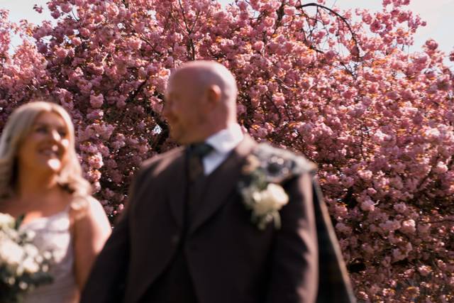 Couple and cherry blossom tree