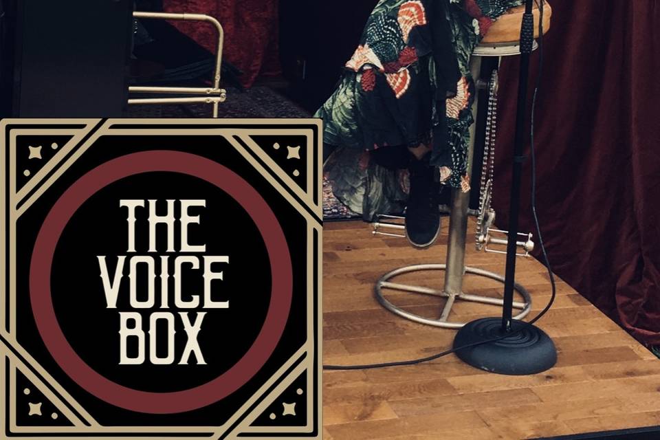 Gemma and The Voice Box