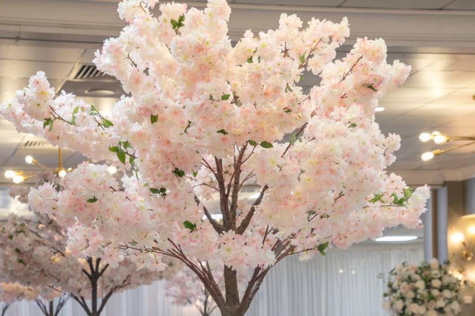 Pink Blossom Trees