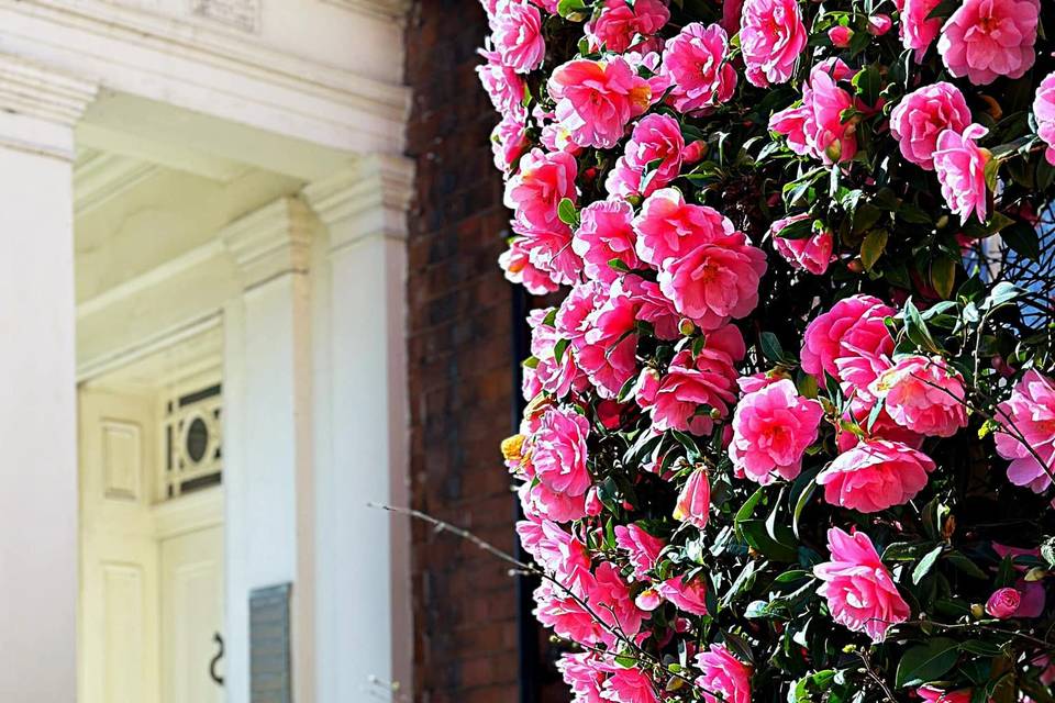 Dr.Derme Skin Clinic Edgbaston