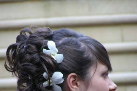 Wedding Hair & Make Up Company