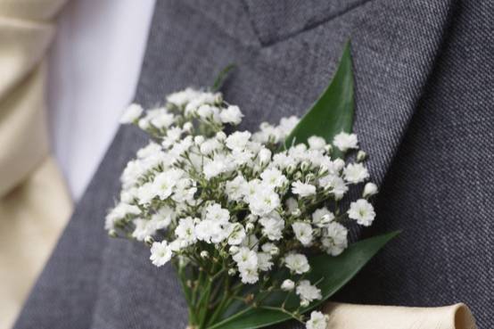 Gypsophila buttonholes