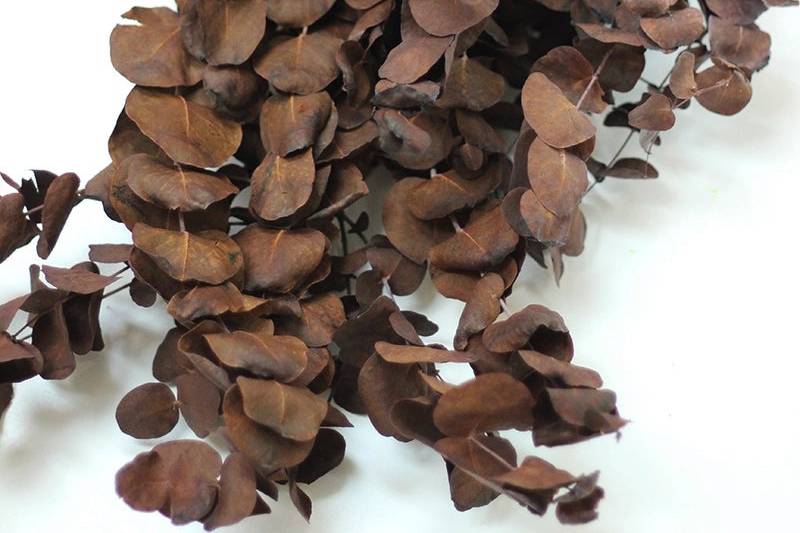 Preserved eucalyptus bordeum