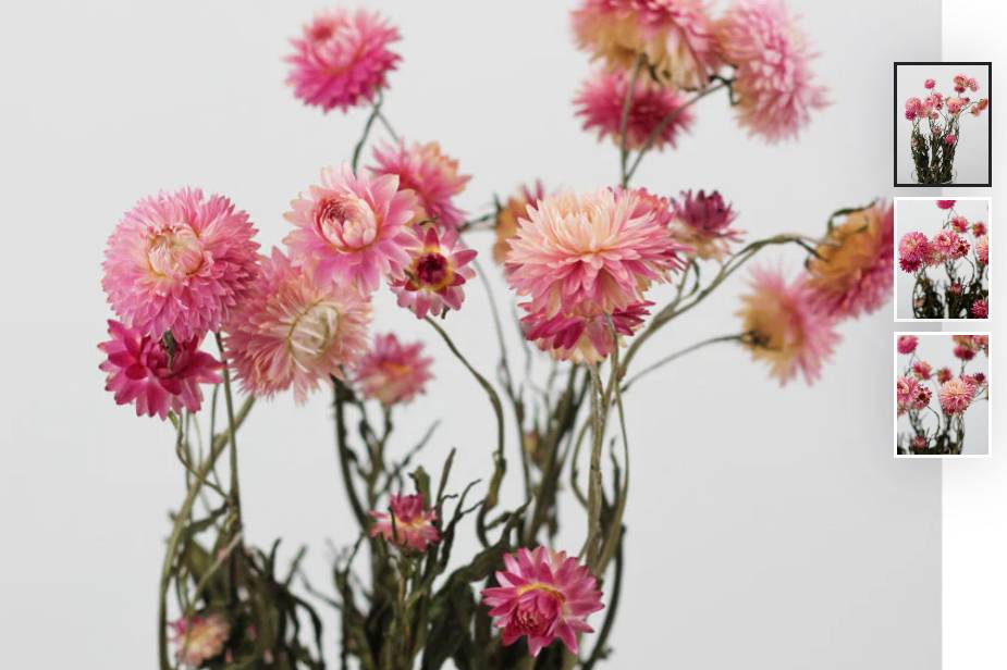 Dried helichrysum