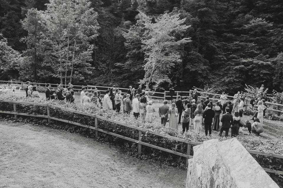 Wedding speech