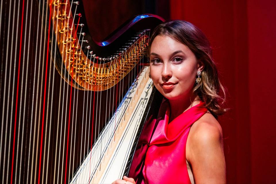 Harpist