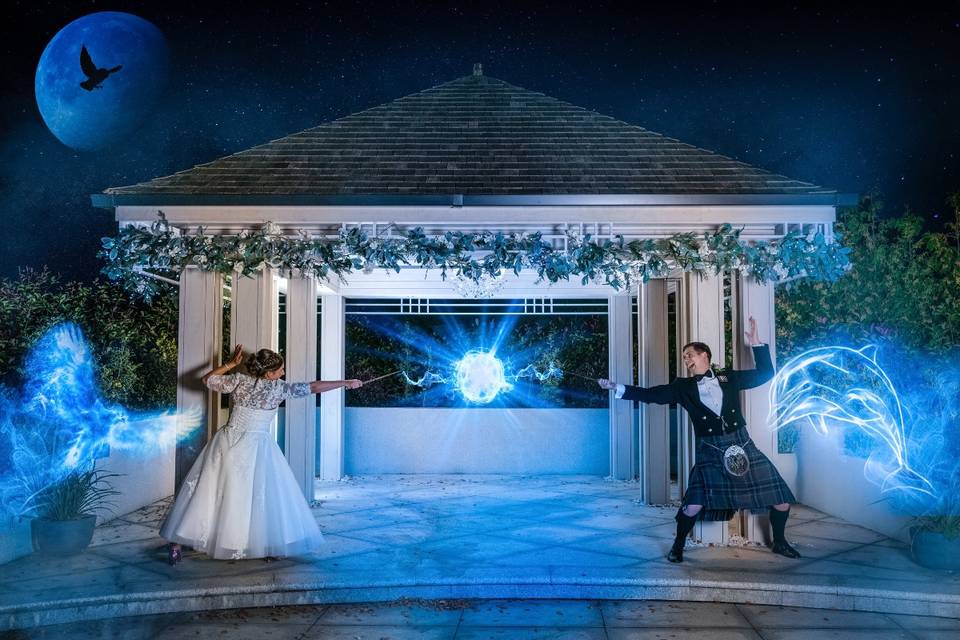 Harry Potter Wedding