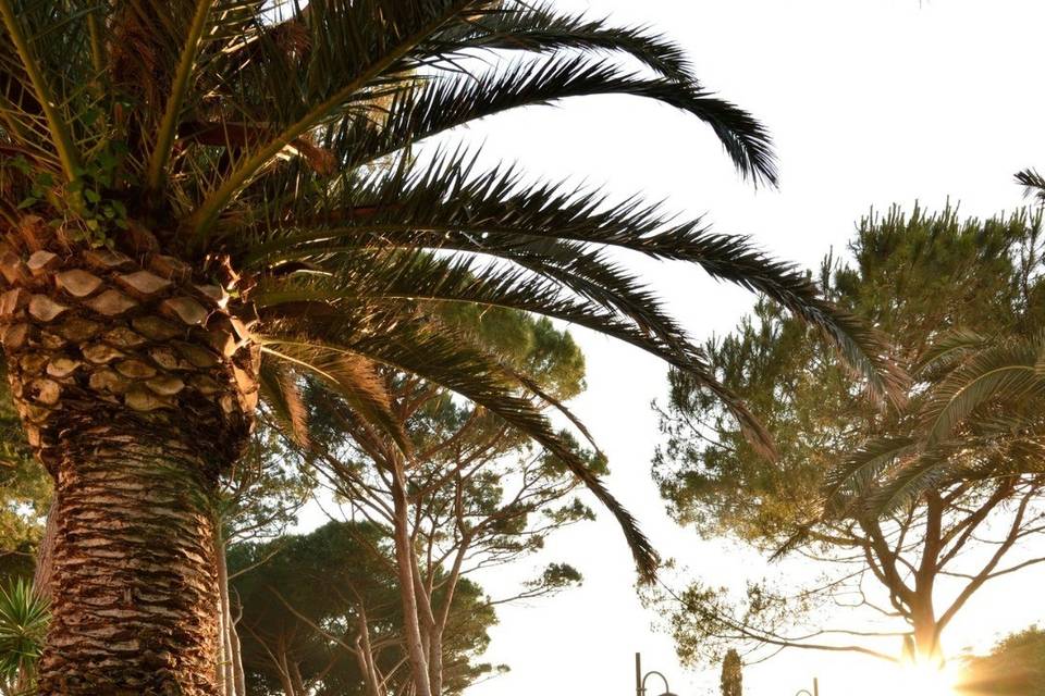 Park Hotel Marinetta
