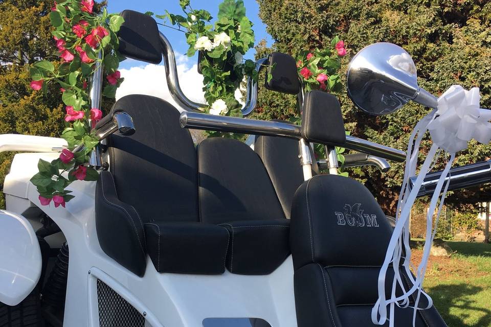 Wedding Trike