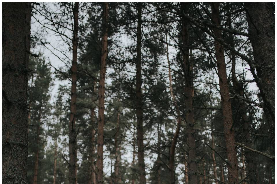 Cairngorms elopement