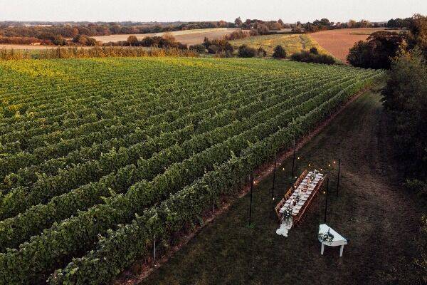 Intimate vineyard wedding reception