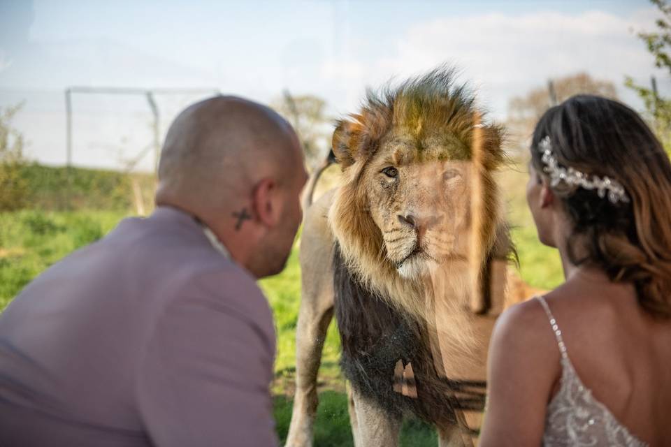 Couple at Chester Zoo