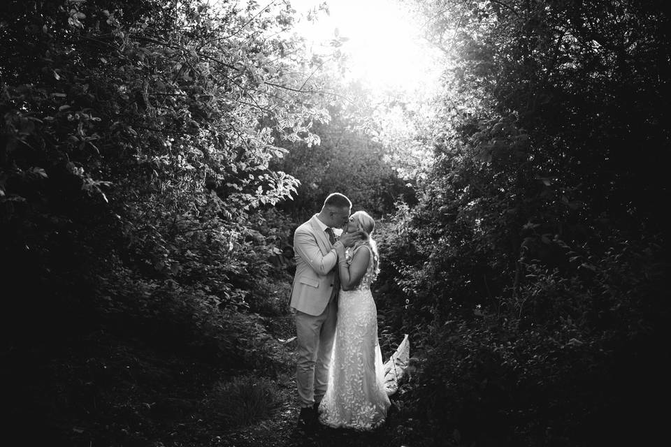 B&W Pathway
