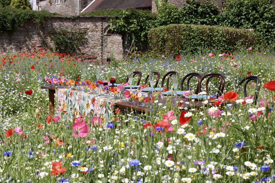 Wild flower garden