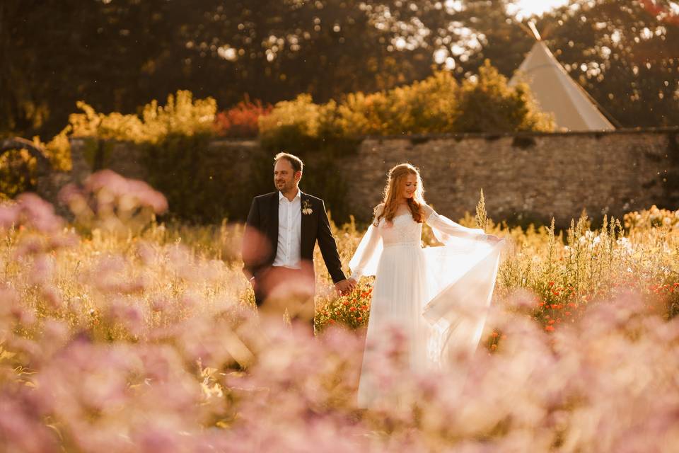 The wildflowers at golden hour