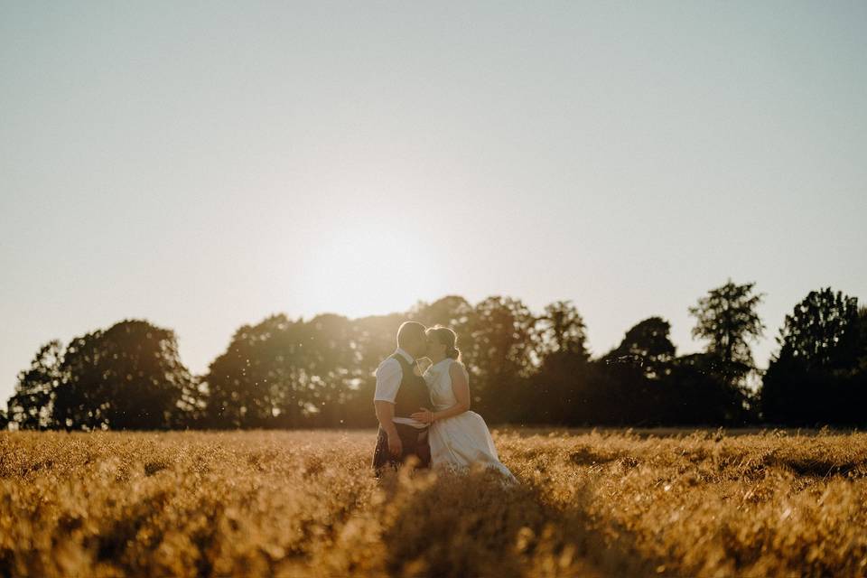 Fields