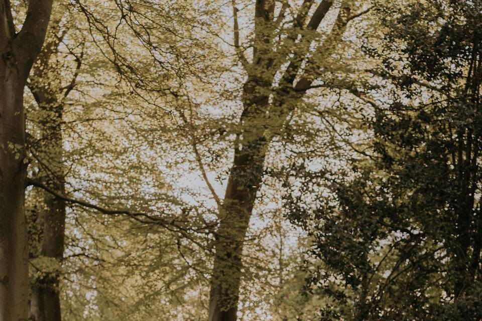 Grounds