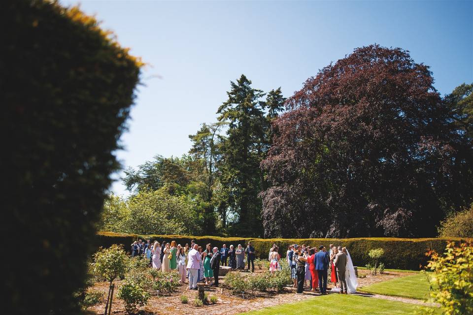 Drinks in the gardens