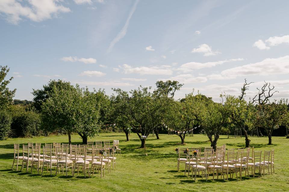 An orchard wedding