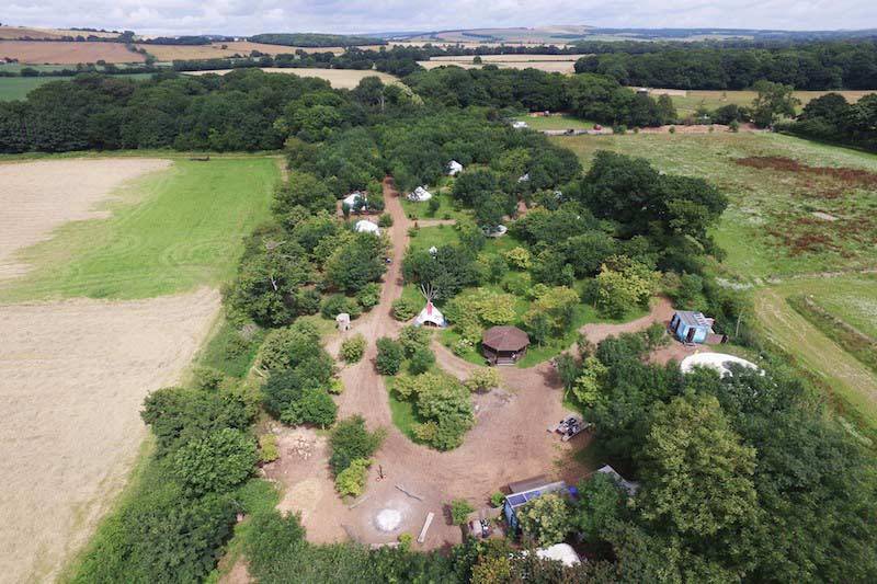 Aerial view of woodland