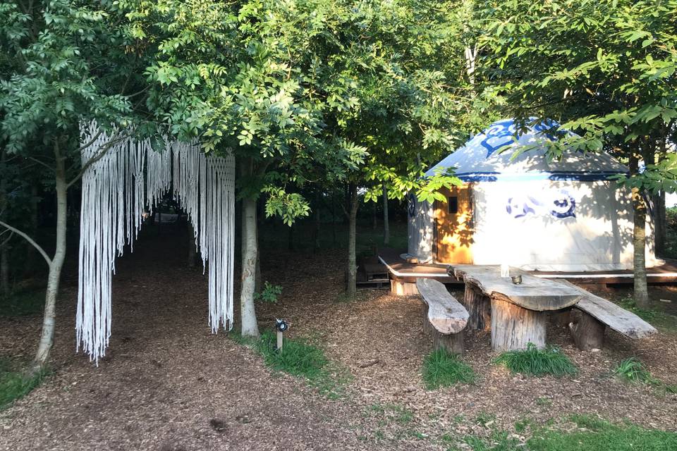 Yurt among the trees