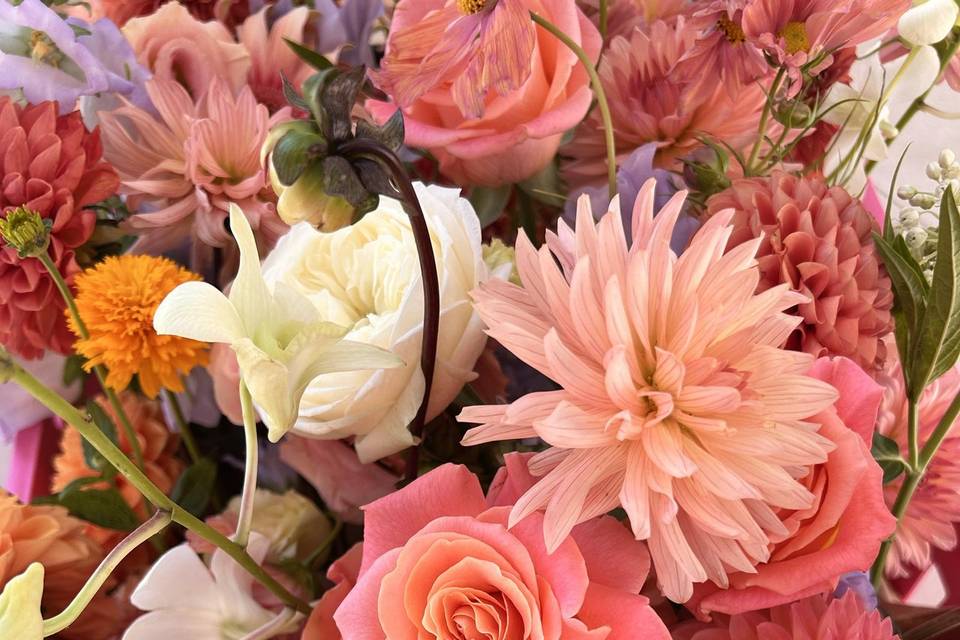 Summer Palette
