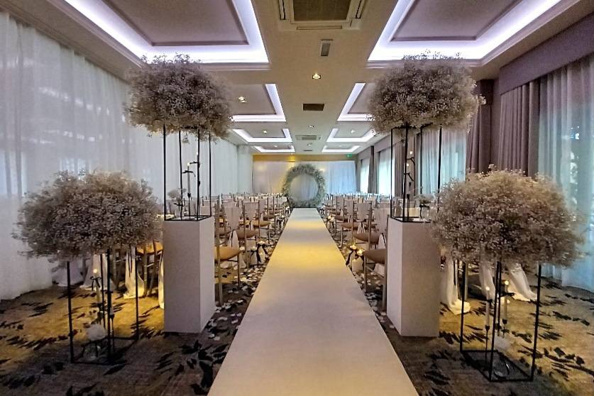 Gypsophila collection