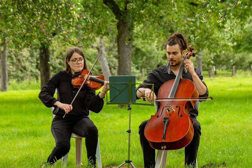 Live music