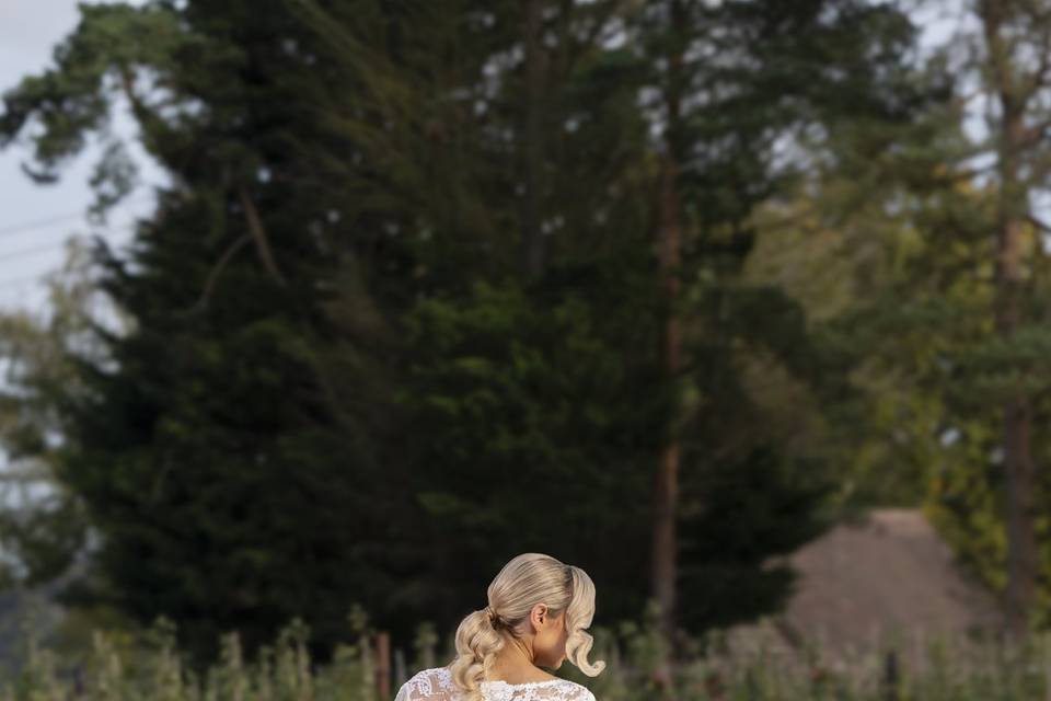 Jane Amor Design