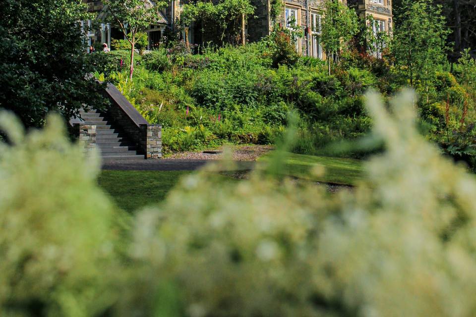 Forest Side in Summer